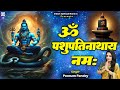 Mantra Om PashupatiNathay Namah ॐ पशुपतिनाथाय नमः Poonam Pandey Shiv