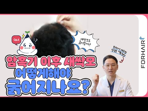 암흑기 이후 새싹모 빨리 자라나는 방법은?! ㅣ포헤어 대구