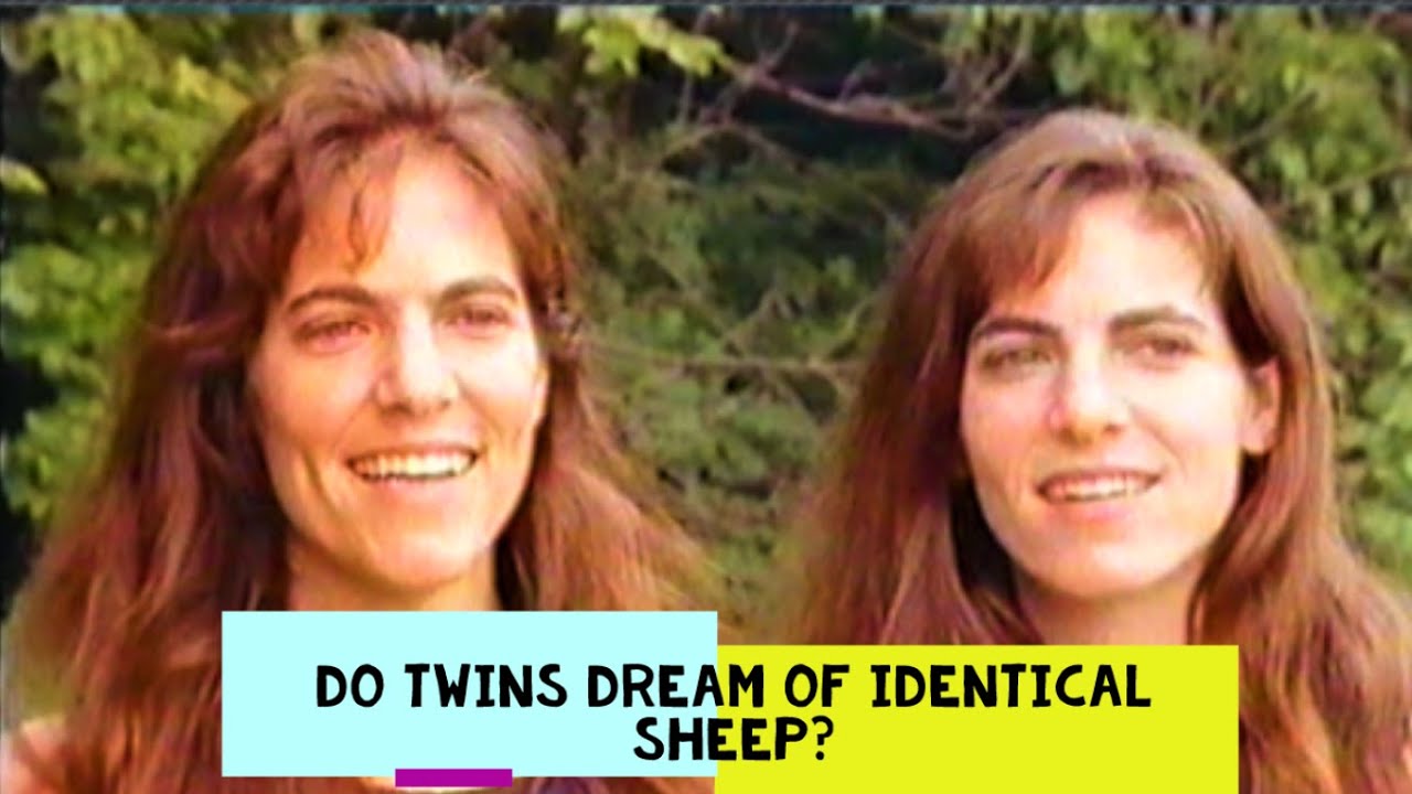 Twins: The Divided Self