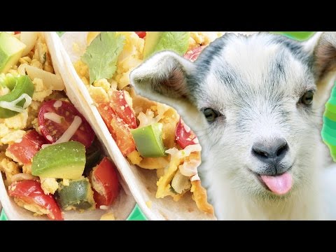 【BuzzFeed】超療癒的小事：97件世界上最美好的事情！(97 Of The Best Things In The World)