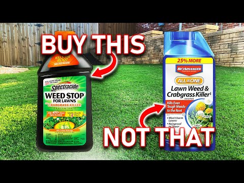 They’re Both Good Weed Killers But You Should Buy This One