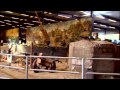 7 TON VOOR OORLOGSMUSEUM OVERLOON