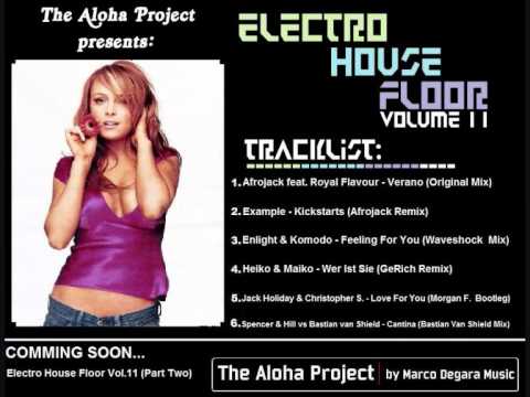 Electro House Floor Vol.11 (Part One) (Mix November 2010)