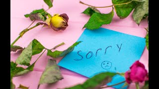 צודקים ומתנצלים🙇▪️כמה רגעים תורה עם הרב נחמנסון ▪️ (תולדות תשפ"ו) (הרב יהודה לייב נחמנסון) - התמונה מוצגת ישירות מתוך אתר האינטרנט יוטיוב. זכויות היוצרים בתמונה שייכות ליוצרה. קישור קרדיט למקור התוכן נמצא בתוך דף הסרטון