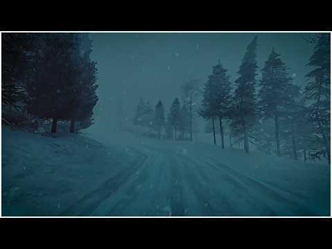 Mighty Blizzard Sounds for Sleeping in a Frosty Forest┇Heavy Howling Wind & Epic Snowstorm Sounds