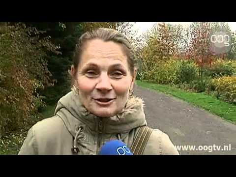 Wandelen tussen grafstenen populair