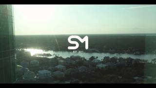 Danny Brown - Blunt After Blunt (Stwo Flip)