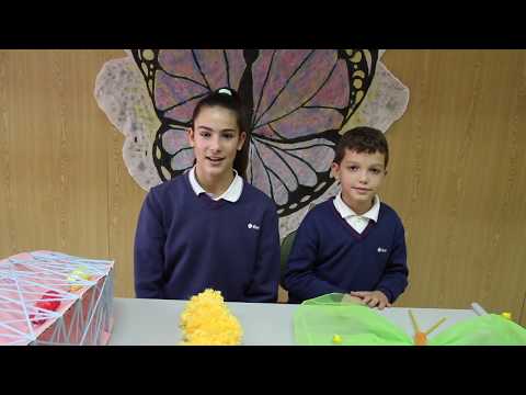 Día Internacional por la Eliminación de la Violencia contra la Mujer