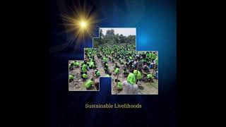 What Is Disaster Preparedness?