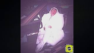 No Dirt - Sincere Show (Official Music)