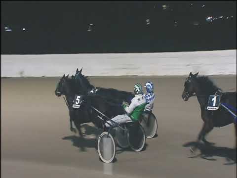 Trotto 10/11/2019 - 7ª corsa