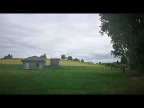 Wanderung Reiskirchen - Saasen - Winnerod - Reiskirchen