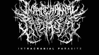 Intracranial Parasite - Consuming Putrid Infection