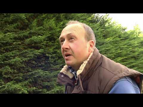 NOEL HEHIR COOLAVANNY CHICK PT 1