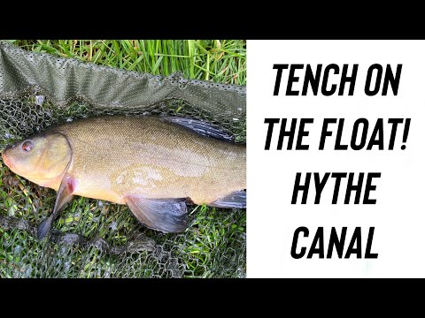 TENCH ON THE FLOAT - SIMPLE TACTICS ANYONE CAN DO!!