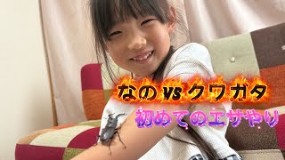 クワガタのエサやりに初挑戦♩