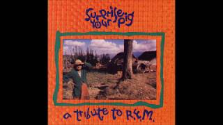 Steel Pole Bath Tub - We Walk