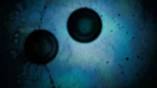 Livingstons - Little Atom