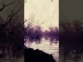 Visual || Tidal Wave - Grouper  #shorts #trending #music  #grouper  #viral
