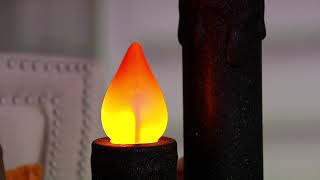 Martha Stewart Indoor/Outdoor Blow Mold Candle on QVC