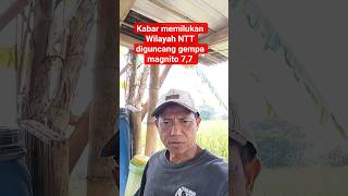 Download lagu pilu di bln kemerdekaan mp3