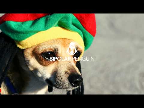 Cyaan Stop - Cookie The Herbalist feat  Cali P (Max RubaDub Remix)