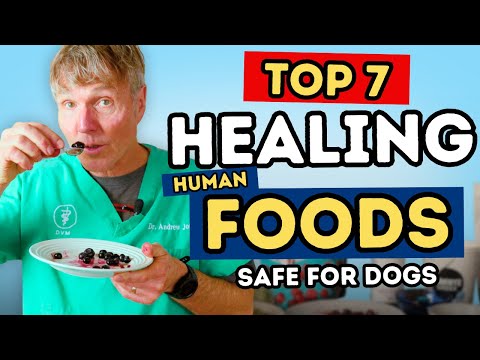 Dr. Jones' 7 natürliche Lebensmittel, die Hunden zu einem längeren Leben verhelfen