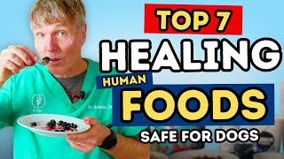 7 Natural Foods That Help Dogs Live Longer