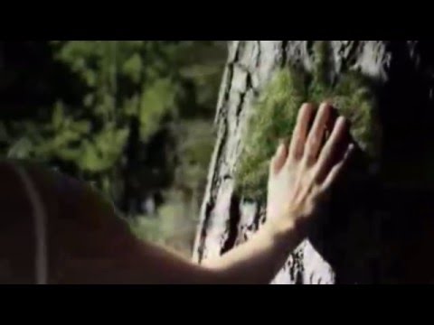 Mădălina Amon-Gând amar