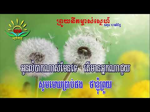 ព្រួយនឹកម្ចាស់ស្នហ៍ ៖ ភ្លេងសុទ្ធ (ណុប បាយ៉ារិទ្ធ) Prouy Nirk Mjas Snaeh Karaoke