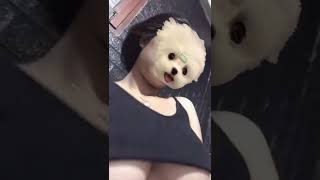 Download lagu terekam remas payudara #shorts mp3