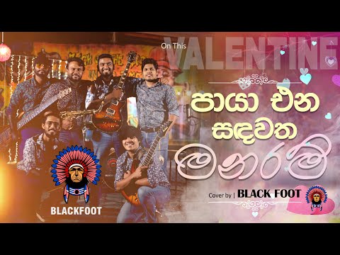 Paya Ena Sandawatha | පායා එන සඳවත | BNS | COVER | By BLACKFOOT
