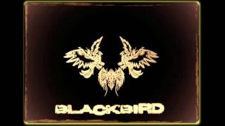 Night Bus - Blackbird  (Cover Jaya The Cat)