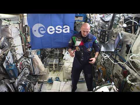 ISS Commander discusses climate with U.N. COP25 Conference