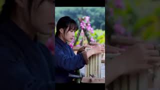 Download lagu LEMBAH BIRU - Bimbo mp3 Download lagu LEMBAH BIRU - Bimbo mp3