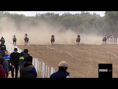 Hip El Quebrachal ( Don Armando , Revancha , Payaso , Ignacio , Pibito ) 10/07/2022