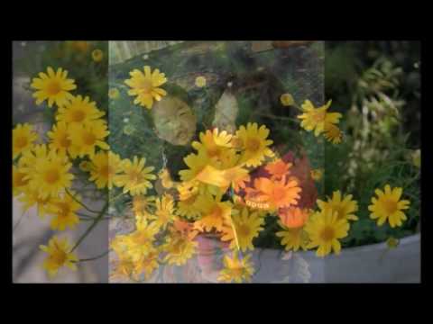 ゴーシェ病について詳しく解説