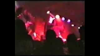 03 The Spell Of The Winter Forest