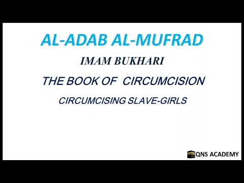 Adab Al Mufrad 53-6: Circumcising slave-girls, Hadith 1249 of 1322