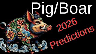 Chinese Astrology 2026 - Predictions for Pig or Boar
