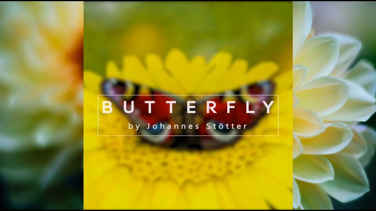 Butterfly by Johannes Stötter | Bodypaint Illusion | HD 1080 - Lorenza Vellucci - Lorenzagrafica