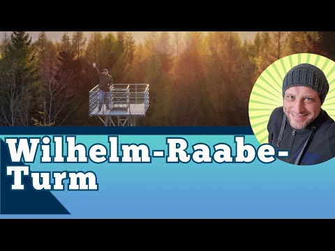 Wilhelm Raabe Turm Grünenplan - Sonnenaufgang - Hils-Kamm-Weg - Wandern Roter Fuchs großer Sohl Hils