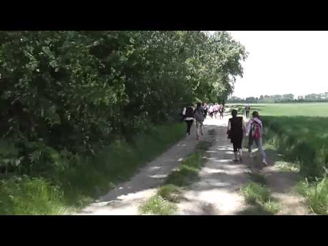 Drumetie in lunca Muresului