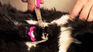 SCAREDY CUT ® home pet grooming kit demonstration