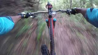 Single Track Jamaica