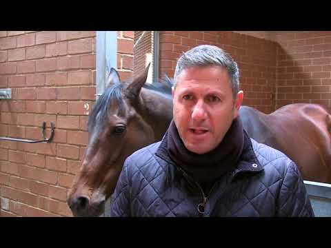 SEAN TARRY VDJ RUNNERS. BREEDING TO WIN