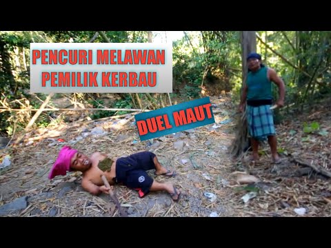 pencuri-ngajak-ribut-duel-maut-sarip-mempertahankan-kerbau-yang-di-curi
