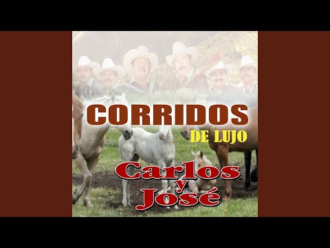 La Cuerva De La Petaca