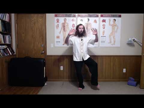 Taiji Cao 太极操 - Ep 14: Zhuan Shēn Dèng Jiǎo 转身蹬脚 | Turn and Kick Movement Tutorial