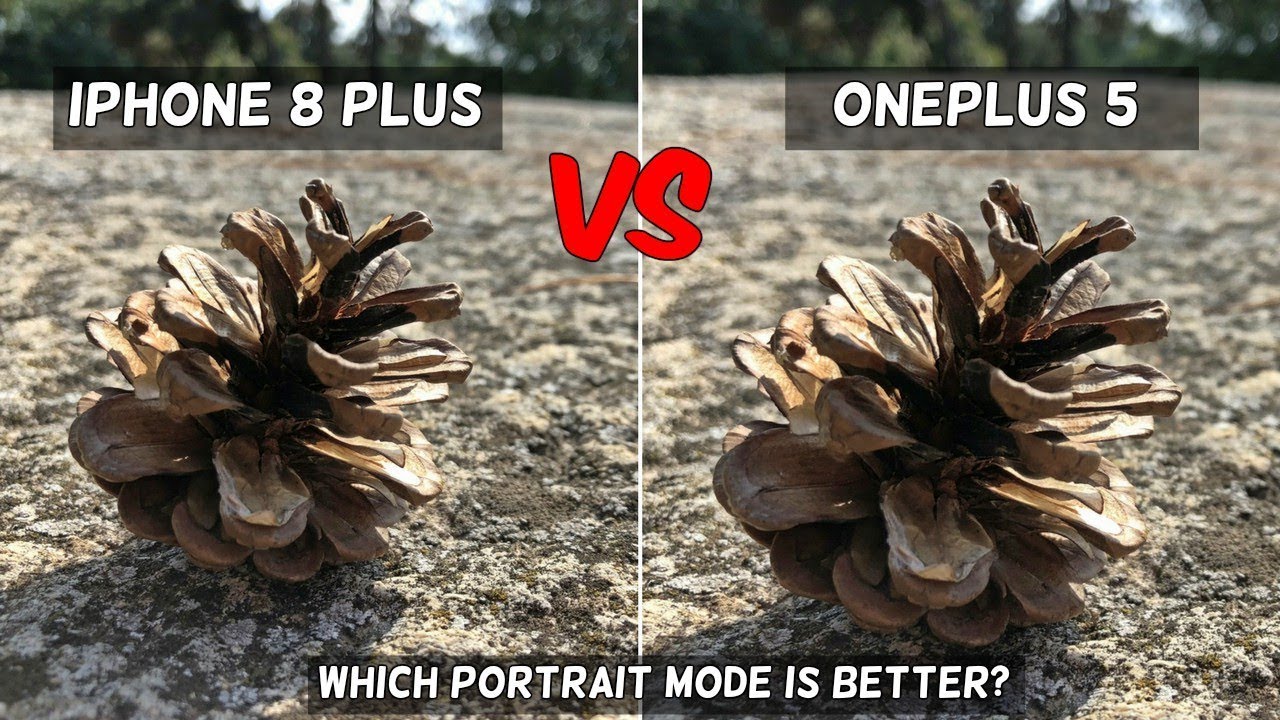 iPhone 8 Plus Camera Vs OnePlus 5 | Camera Comparison | Camera Review | Camera Test | Portrait Mode!